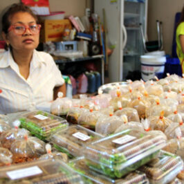 What I Saw in Bangkok